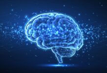 Svenska BioArctics ”BrainTransporter” ska användas i kampen mot glioblastom En hjärna till artikeln om att BioArctics "BrainTransporter" ska ta upp kampen mot glioblastom