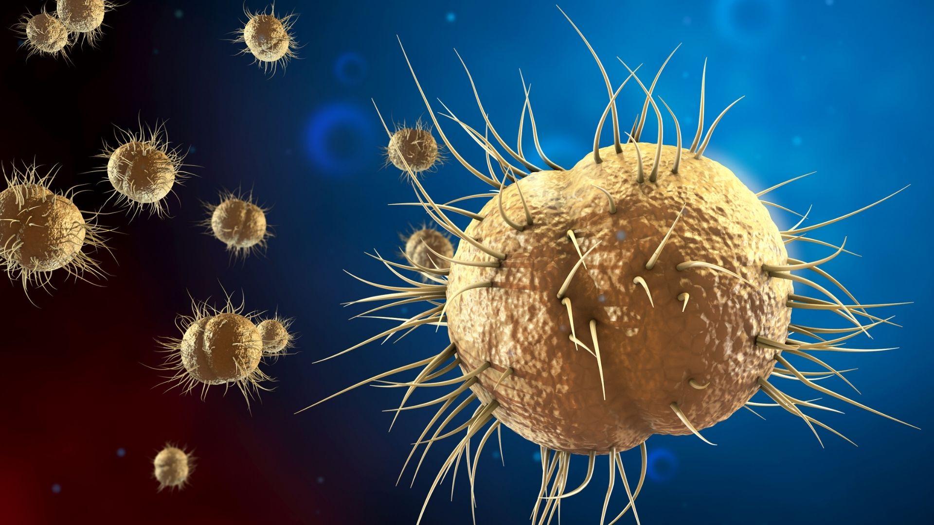 Illustration på antibiotikaresistent gonorré.