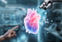 Svensk AI-modell hittar fler med förhöjd risk för hjärtinfarkt En mänsklig hand och en robothand pekar på ett hjärta för att illustrera artikeln om att en svensk AI-modell upptäckte hjärtinfarkt.