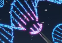 NT-rådet: Avvakta med ny genterapi mot SMA DNA spriral