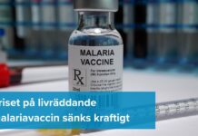 Malariavaccin blir billigare – kan skydda en miljon fler barn